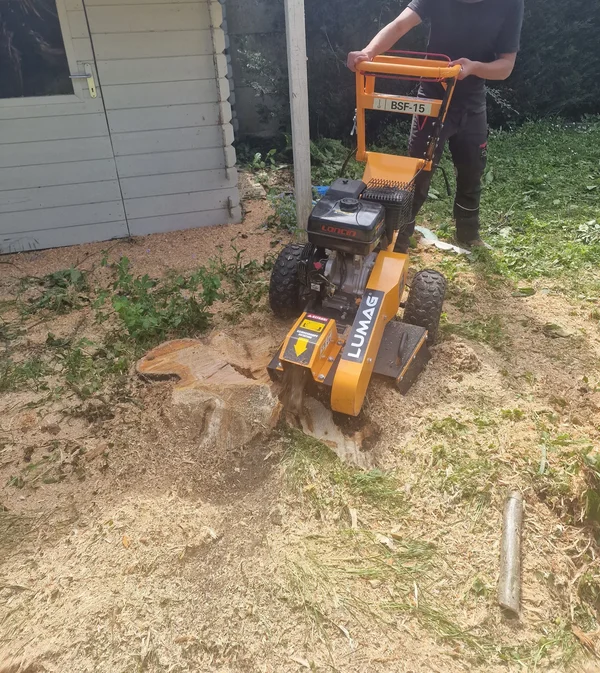 Rognage ou grignotage